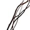 Uniquewise Natural Dry Branches Authentic Willow Sticks for Home Decoration and Wedding Craft, 47 inch QI004415.47 - alternate 4